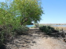 photo thumbnail #11