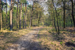 photo thumbnail #15