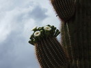 photo thumbnail #12