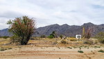 photo thumbnail #4