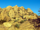 photo thumbnail #10