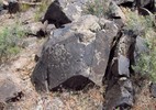 photo thumbnail #11