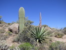 photo thumbnail #10