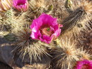 photo thumbnail #2