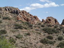 photo thumbnail #10