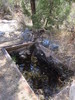 photo thumbnail #10