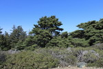 photo thumbnail #10