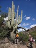 photo thumbnail #15