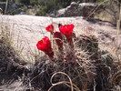 photo thumbnail #15