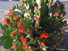 photo thumbnail #2