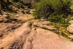 photo thumbnail #14