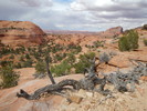 photo thumbnail #4