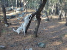 photo thumbnail #3