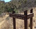 photo thumbnail #15