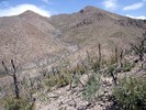 photo thumbnail #12