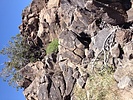 photo thumbnail #13
