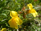 photo thumbnail #3