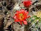 photo thumbnail #6