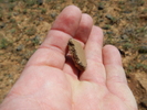 photo thumbnail #8