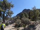 photo thumbnail #4