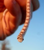 photo thumbnail #3