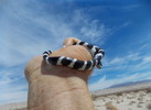 photo thumbnail #7