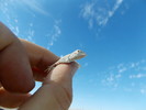 photo thumbnail #10