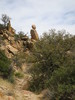 photo thumbnail #14