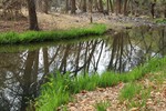 photo thumbnail #1