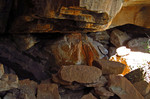 photo thumbnail #12