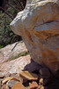photo thumbnail #13