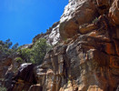 photo thumbnail #14