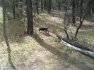 photo thumbnail #2