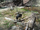 photo thumbnail #3