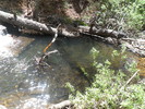 photo thumbnail #7