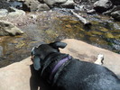 photo thumbnail #8