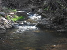 photo thumbnail #9