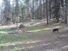 photo thumbnail #10