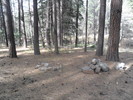 photo thumbnail #11