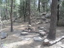photo thumbnail #12