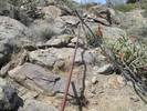 photo thumbnail #10