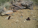 photo thumbnail #14