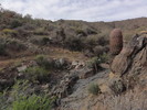 photo thumbnail #3