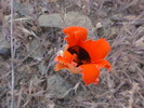 photo thumbnail #5