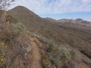 photo thumbnail #6