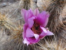 photo thumbnail #11