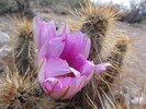 photo thumbnail #12