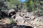 photo thumbnail #8