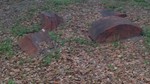 photo thumbnail #9