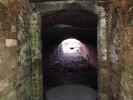 photo thumbnail #11